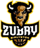 Zubry Bialystok